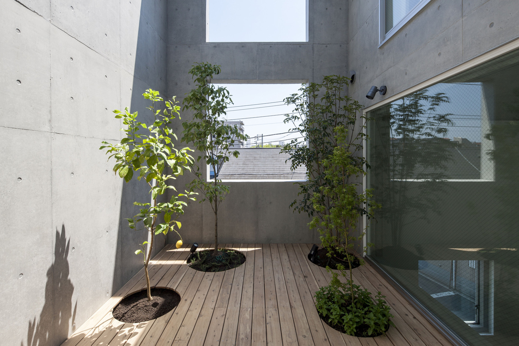 © Satoshi Asakawa