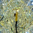 Users Create the Color in this Super-Sized Kaleidoscope - Image 4 of 4