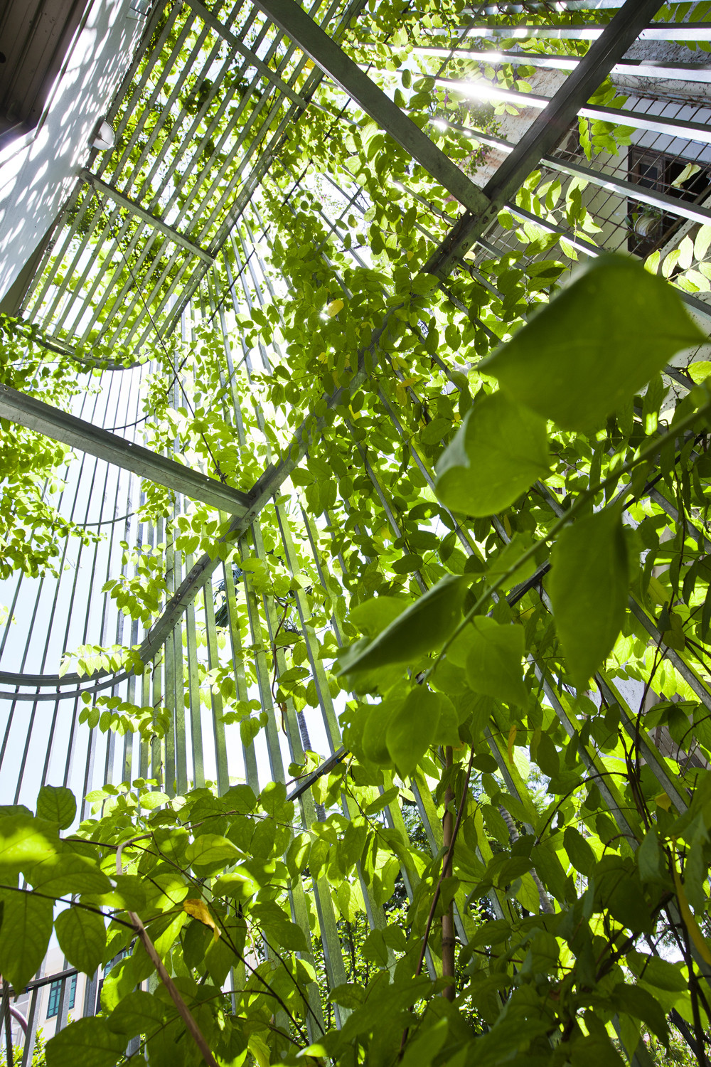 Gallery of Green Renovation / VTN Architects - 19 - Green Exterior Renovation Project