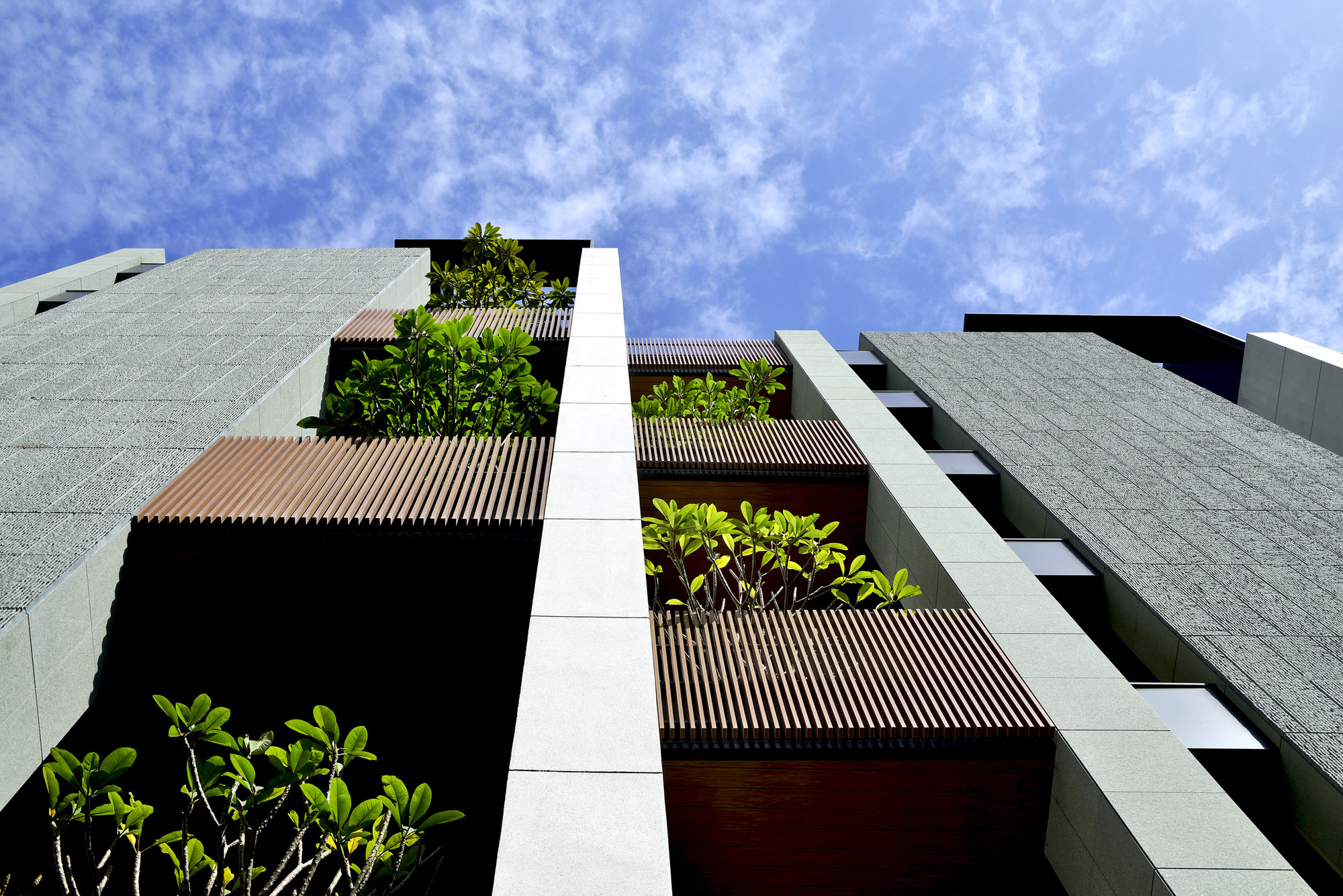 Gallery of Stacking House / Hsuyuan Kuo Architect & Associates 2