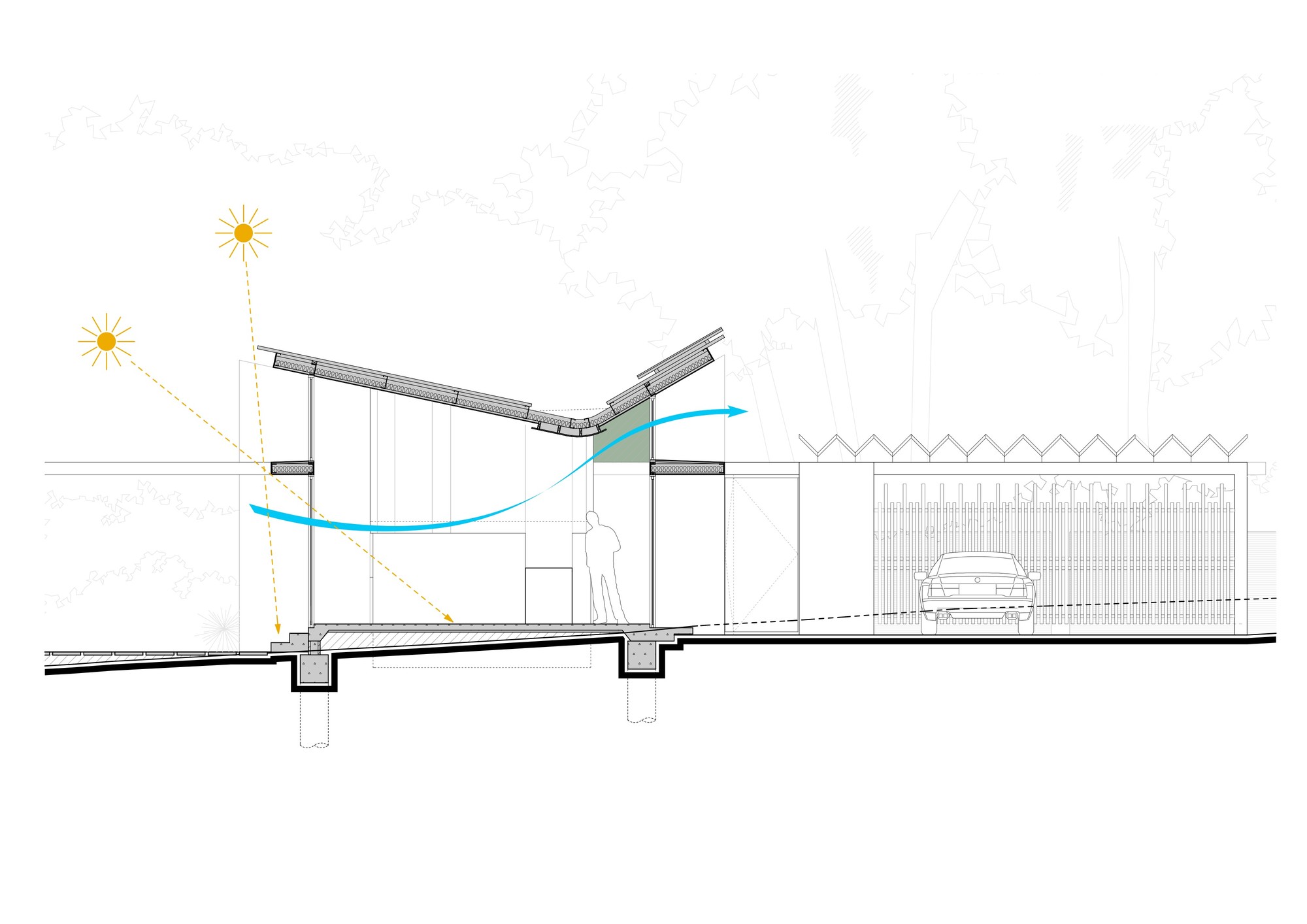 Section