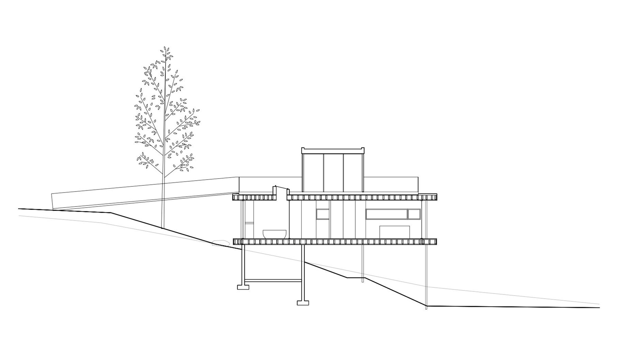 Section