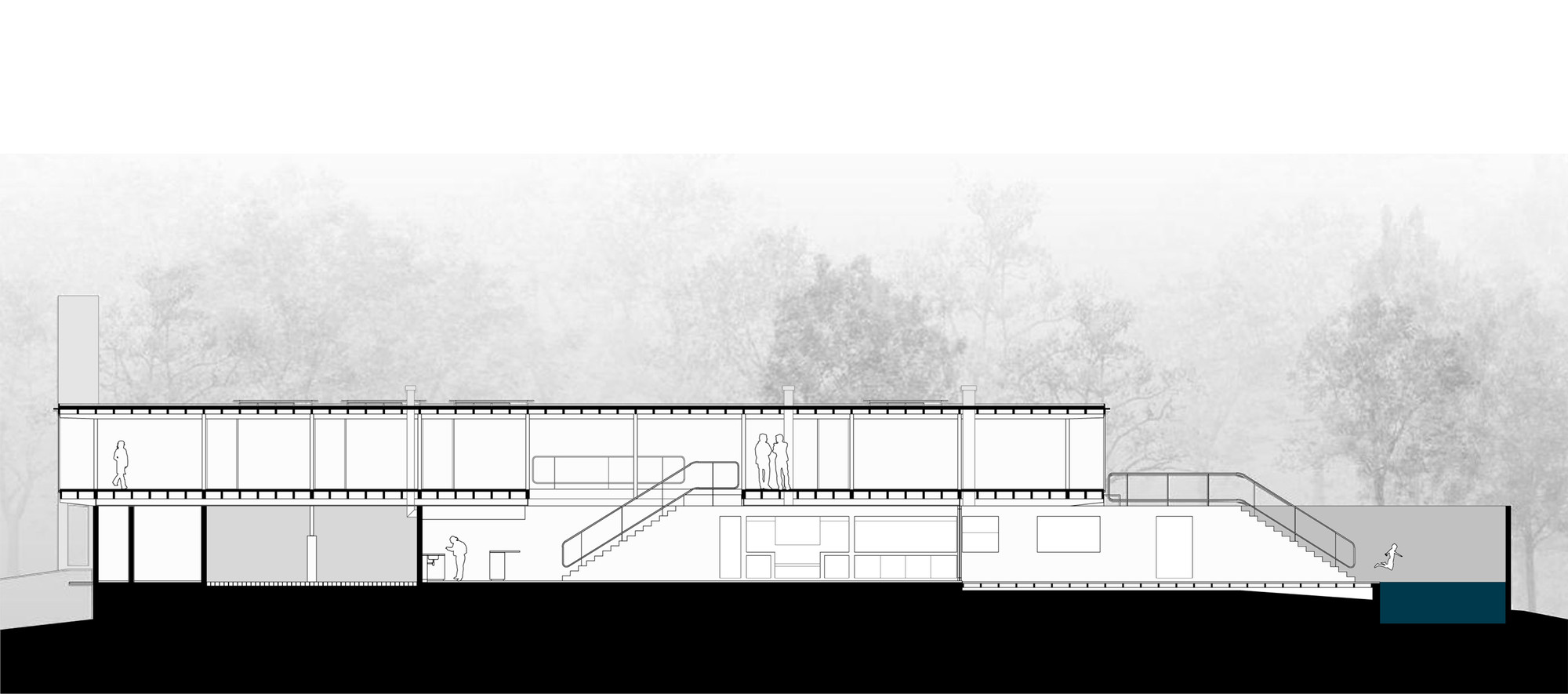 Section