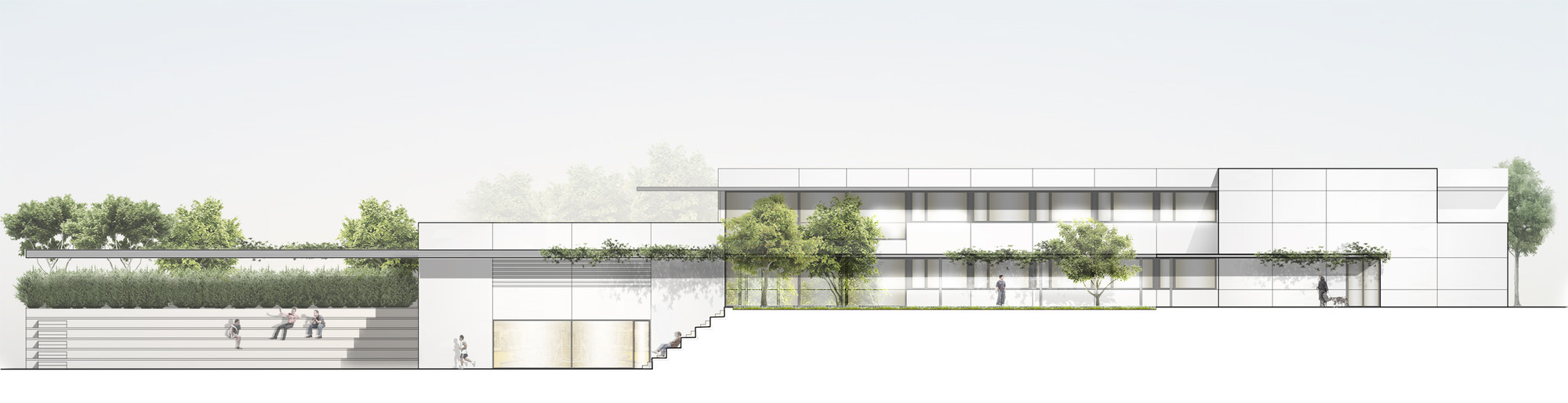 Elevation