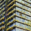One Central Park / Ateliers Jean Nouvel - Exterior Photography, Windows, Facade
