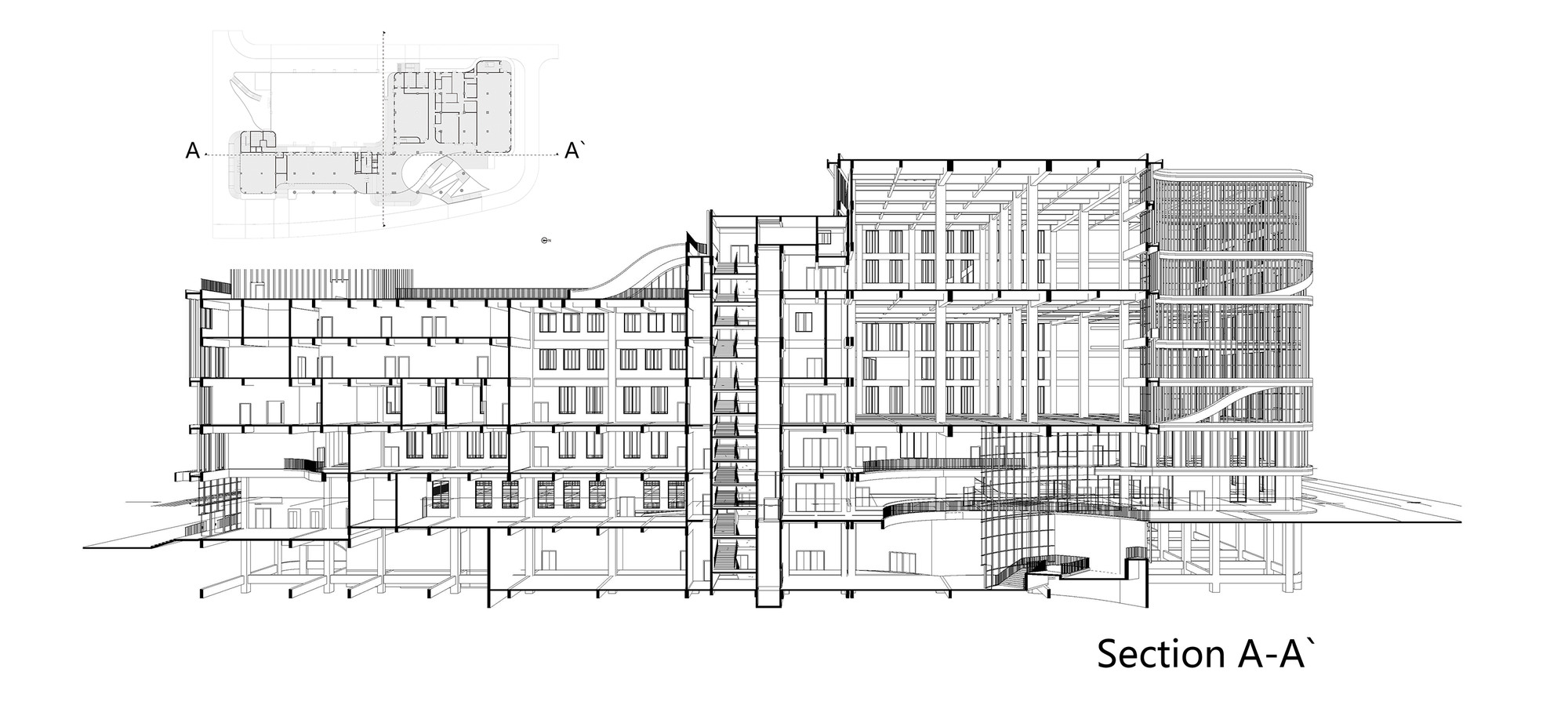 Section AA