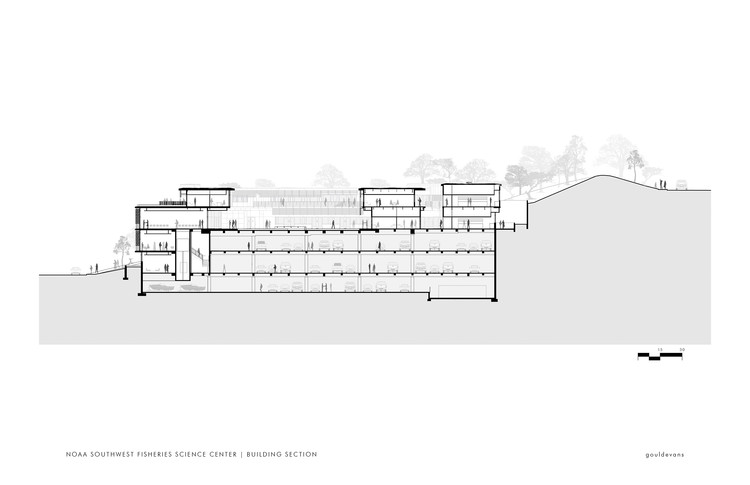 Section
