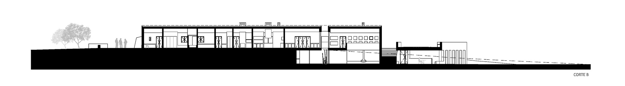 Longitudinal Section B