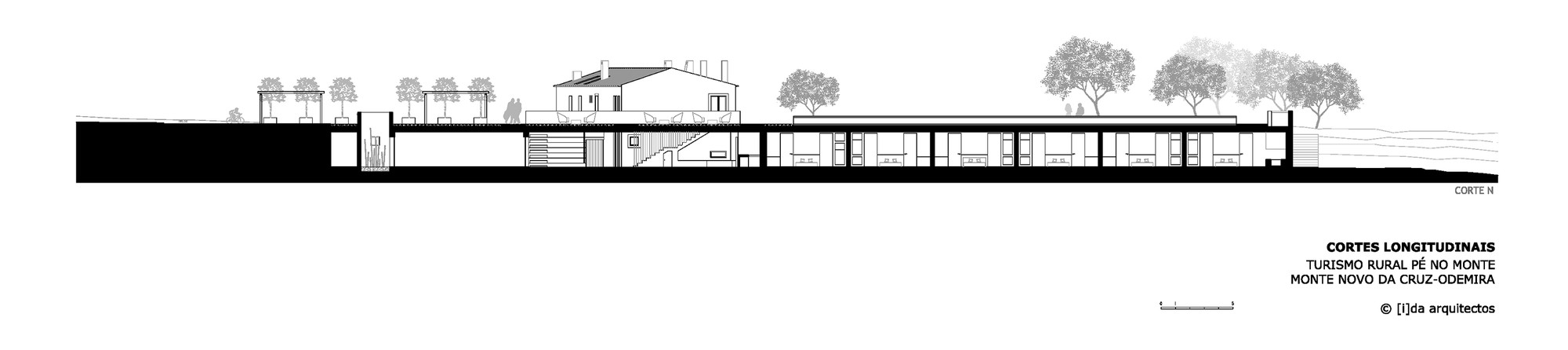Longitudinal Section N