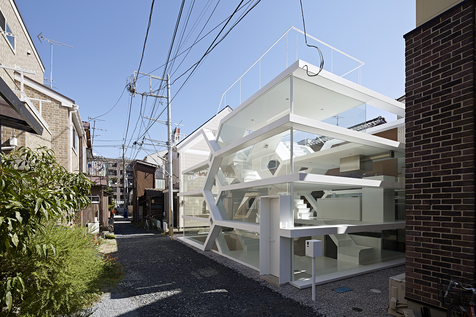 © Koichi Torimura