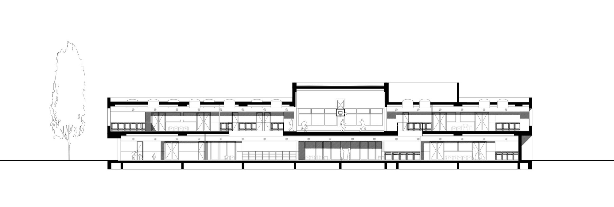 Section