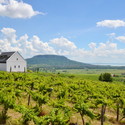Winery in Balaton Highland / SAGRA Architects - Houses