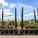 A Mobile Italian Garden Overlooking London - Featured Image