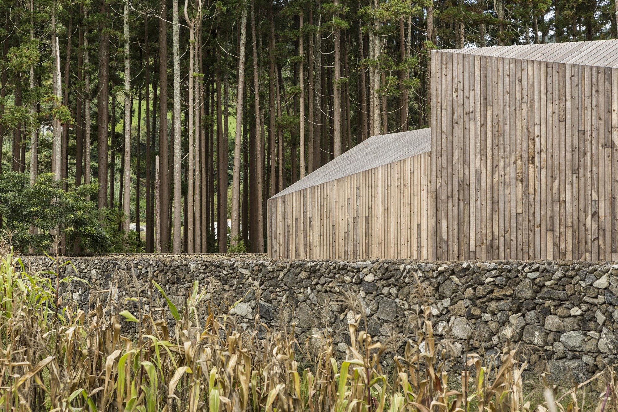 Galería de Bungalows. Siete Ciudades / M-Arquitectos - 4