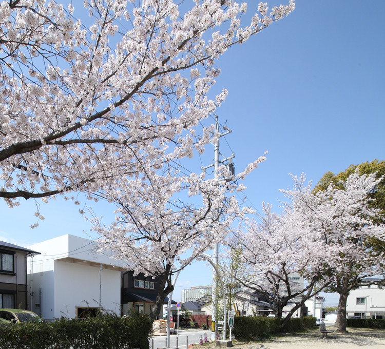 Cortesía de Katsutoshi Sasaki + Associates
