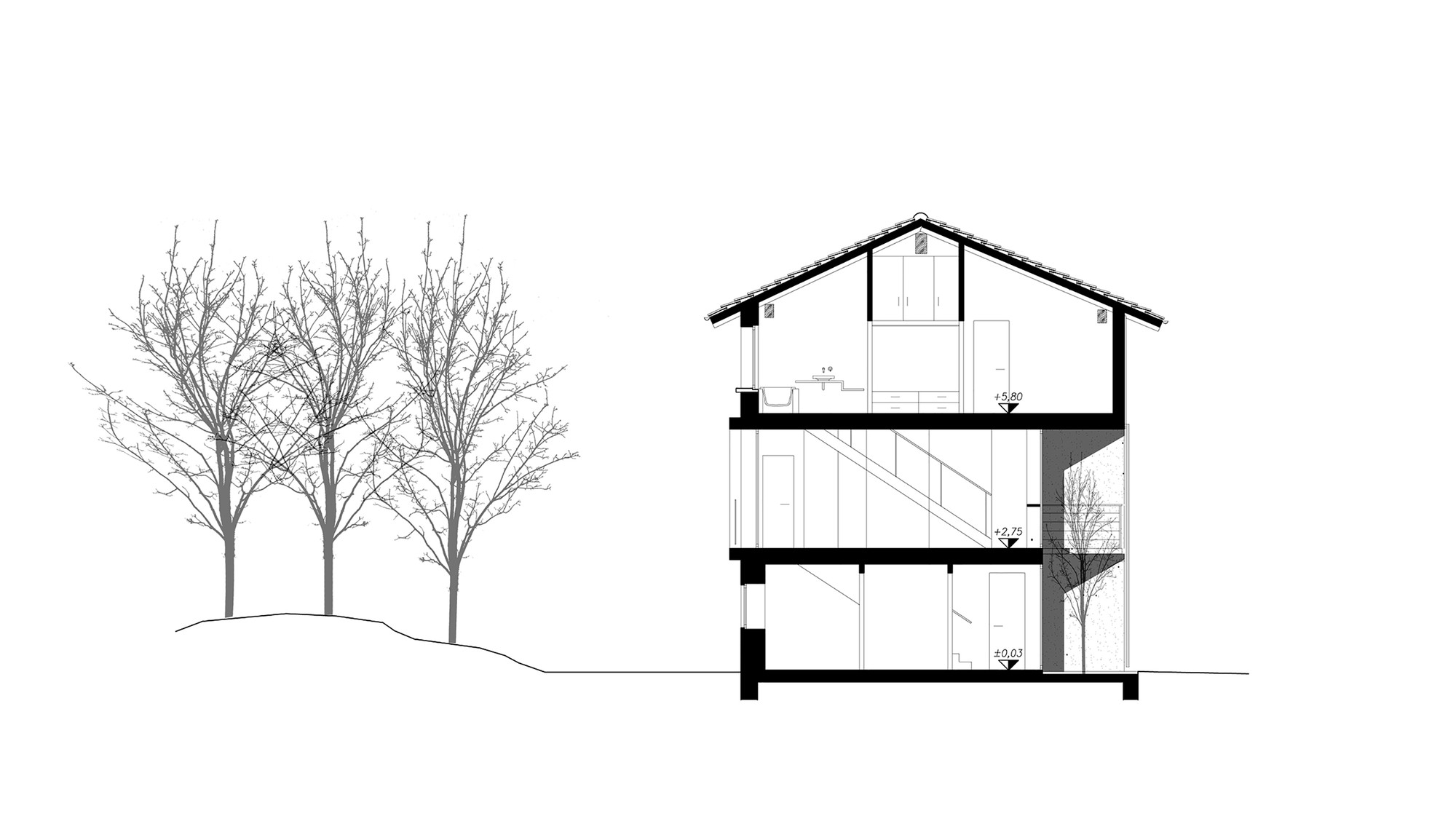 Section