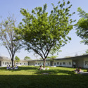 Farming Kindergarten / VTN Architects - Windows, Garden
