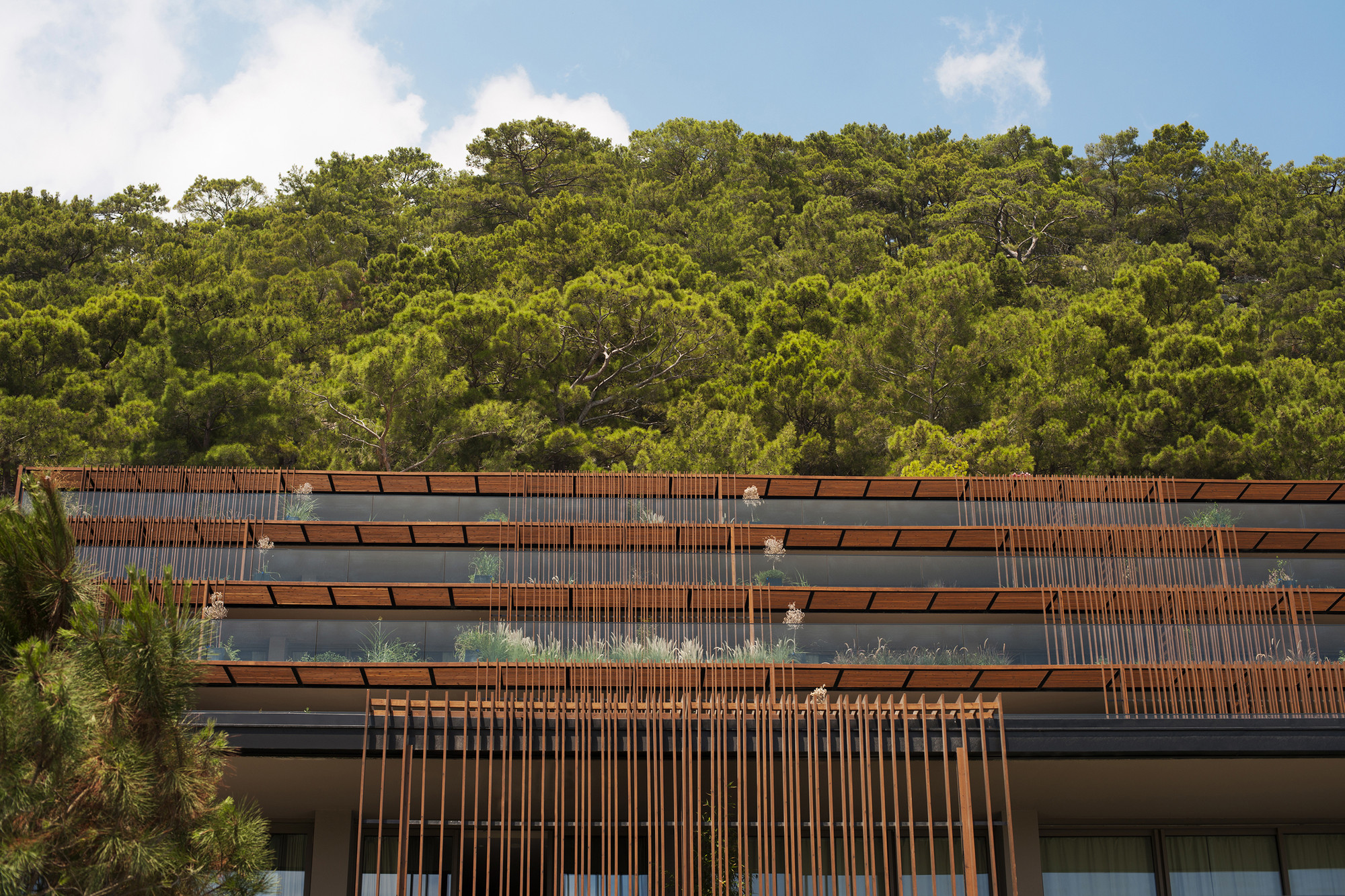 Courtesy of Baraka Architects