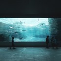 © Mikolai Adamus Mikolai Adamus' Proposal for a New Aquarium in Gdynia - Image 3 of 19