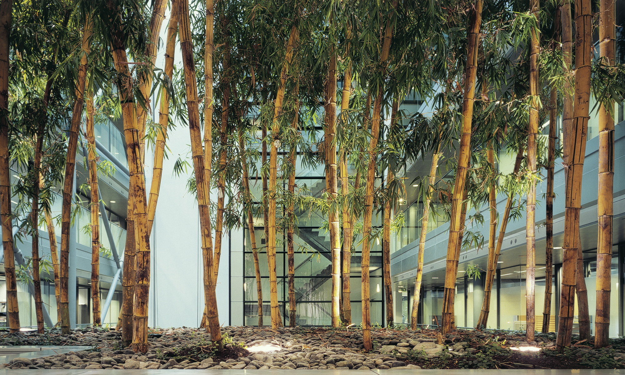 Courtesy of MVSA Architects