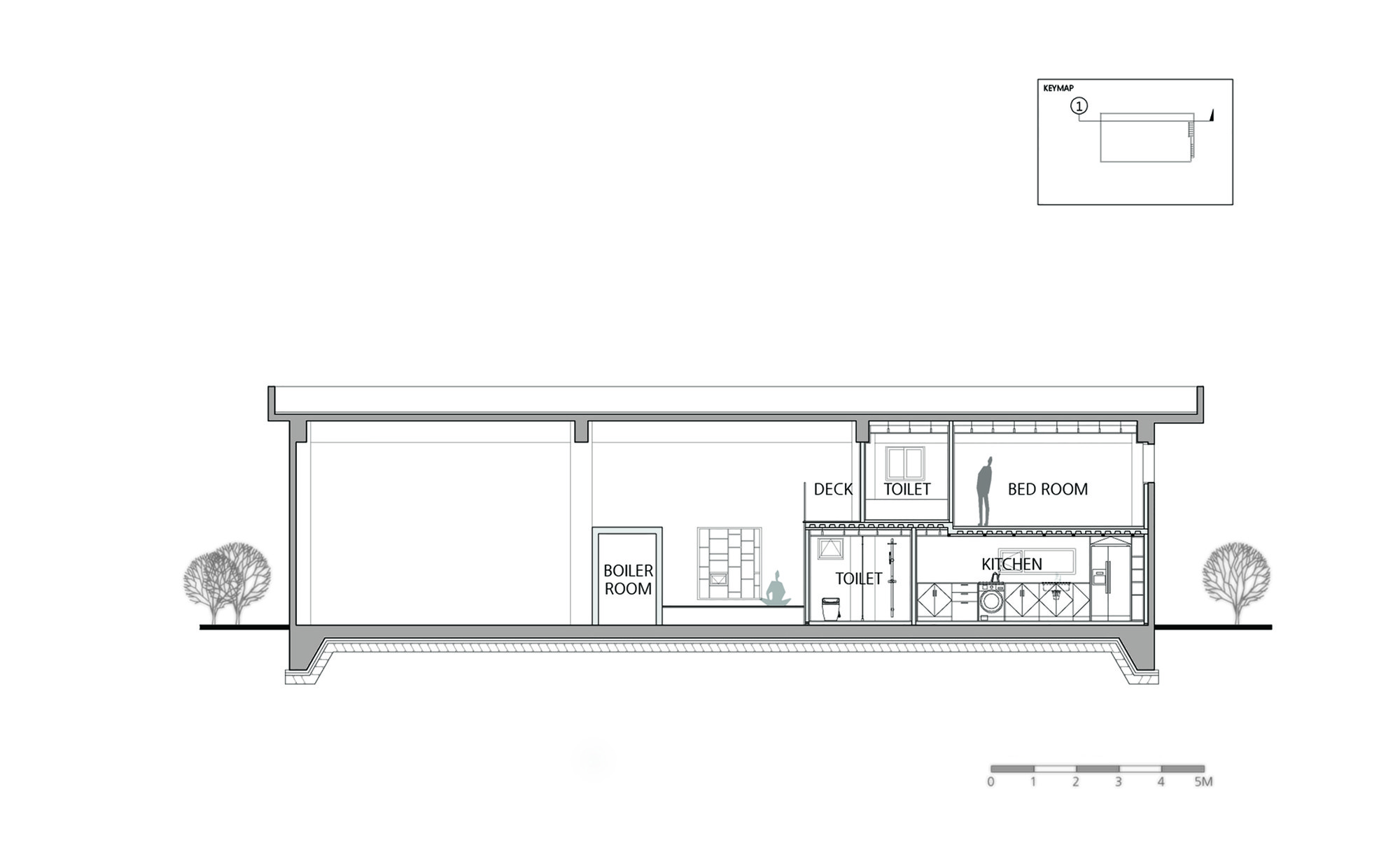 Longitudinal Section 1
