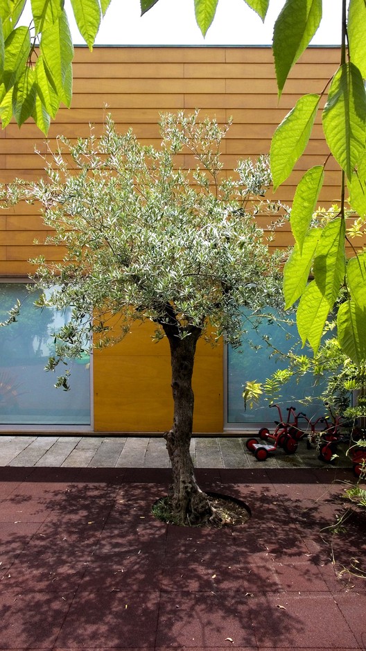 Elementary School S. João Brito / CorreiaRagazzi arquitectos - Image 10 of 26