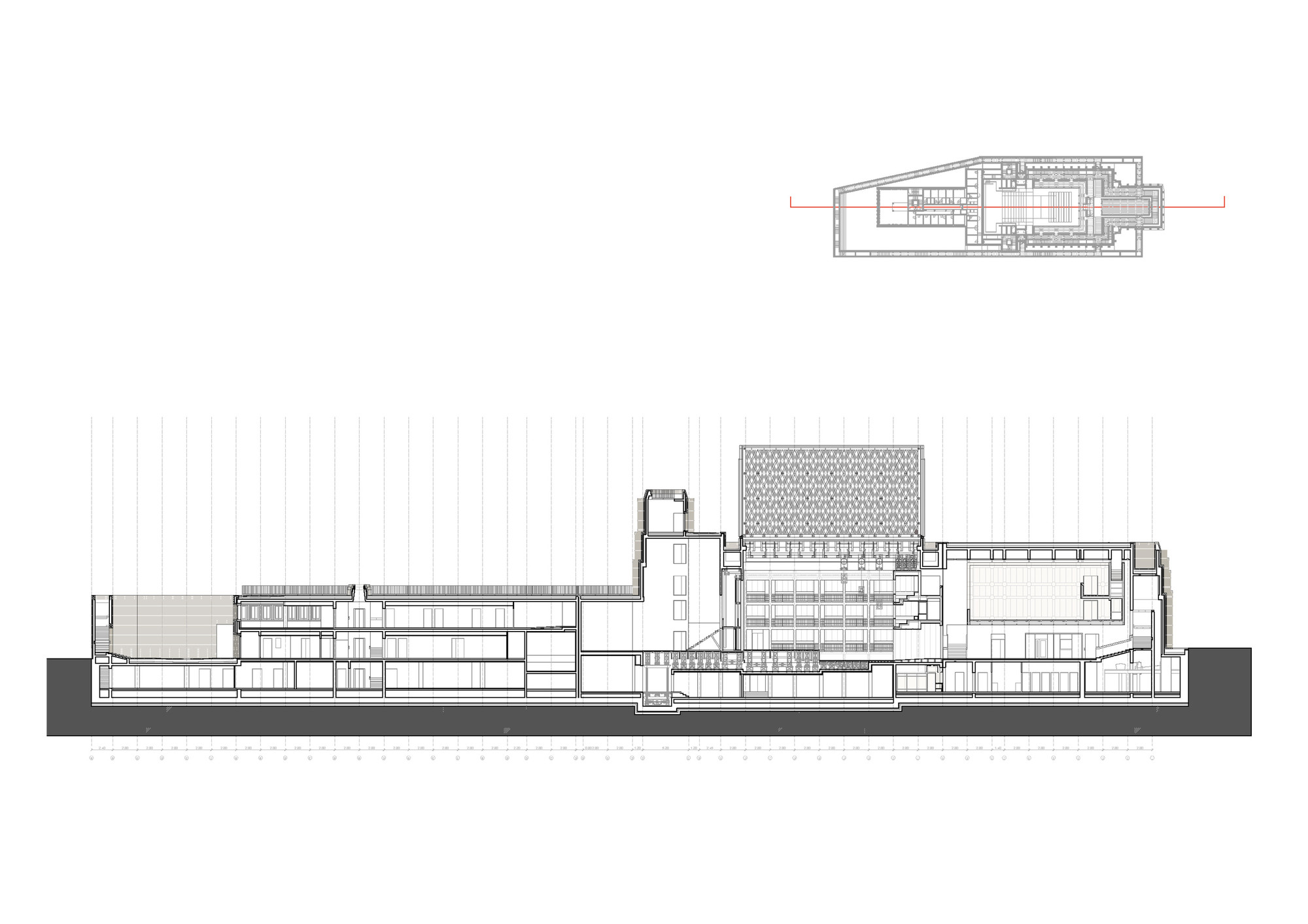 Longitudinal Section 1