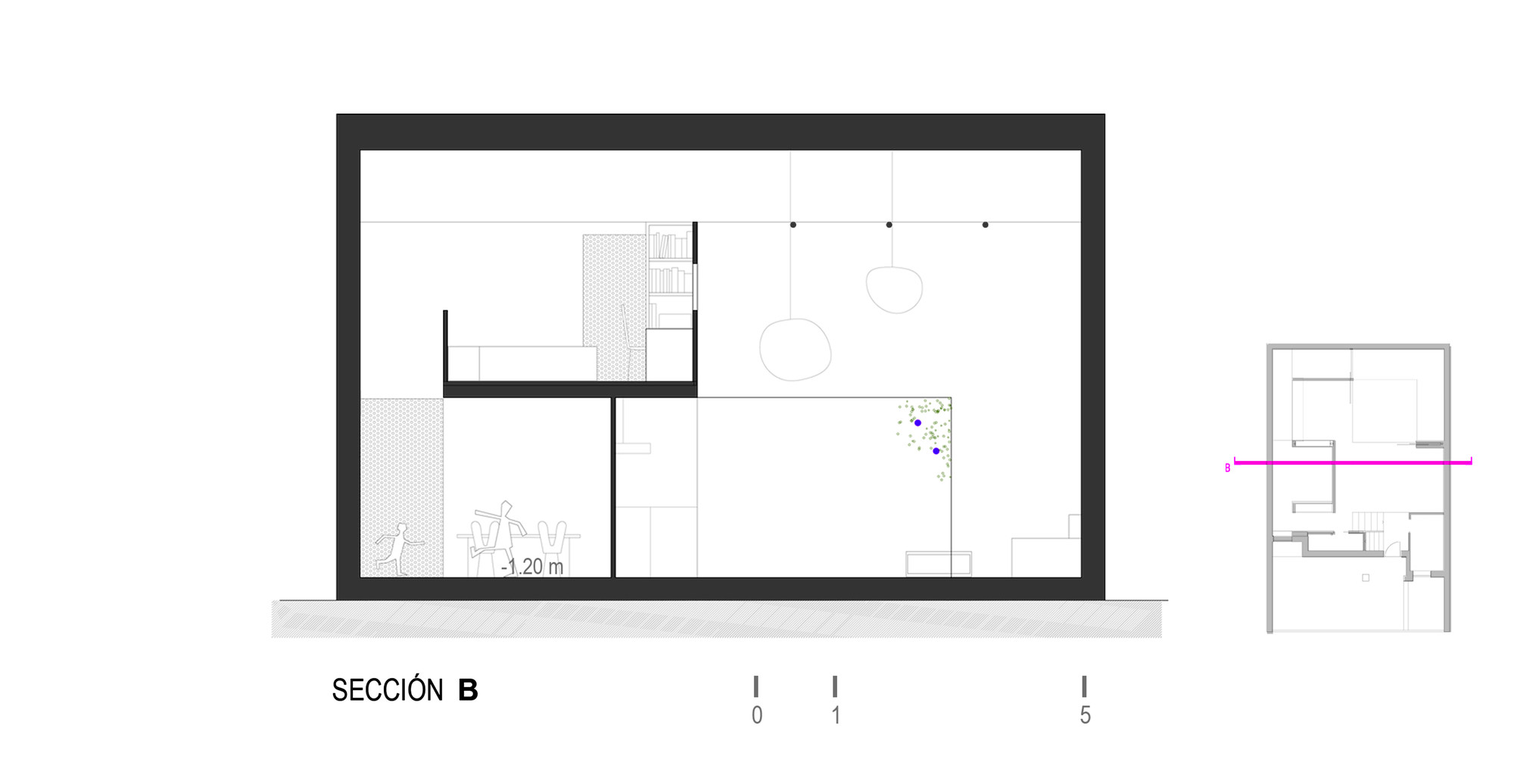 Sección
