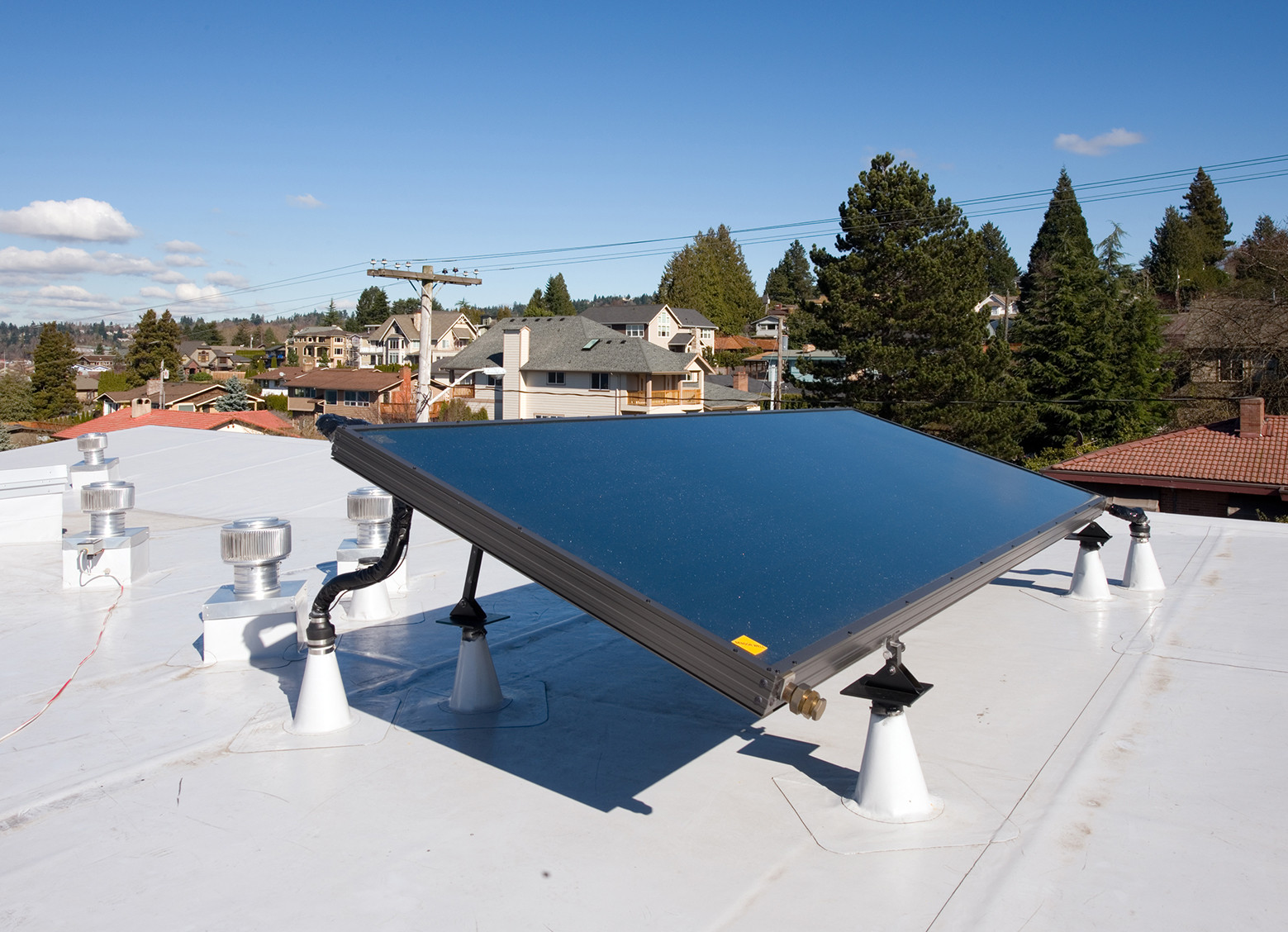 Gallery of Renton House / Stettler Design 11