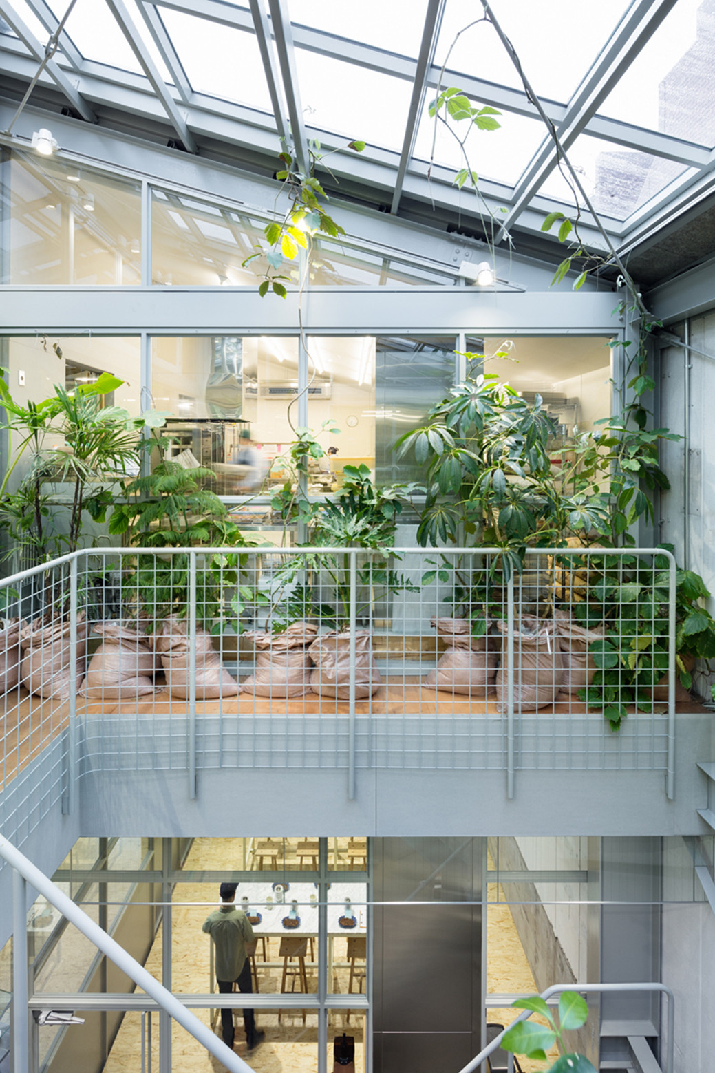 Gallery of Blue Bottle Coffee KiyosumiShirakawa Roastery & Cafe