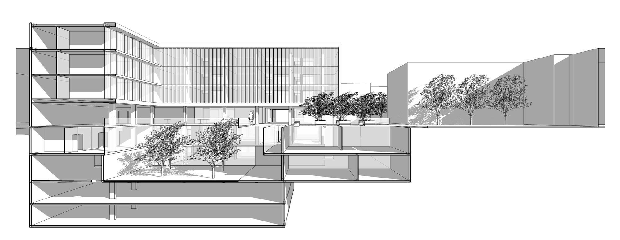 Cross Section