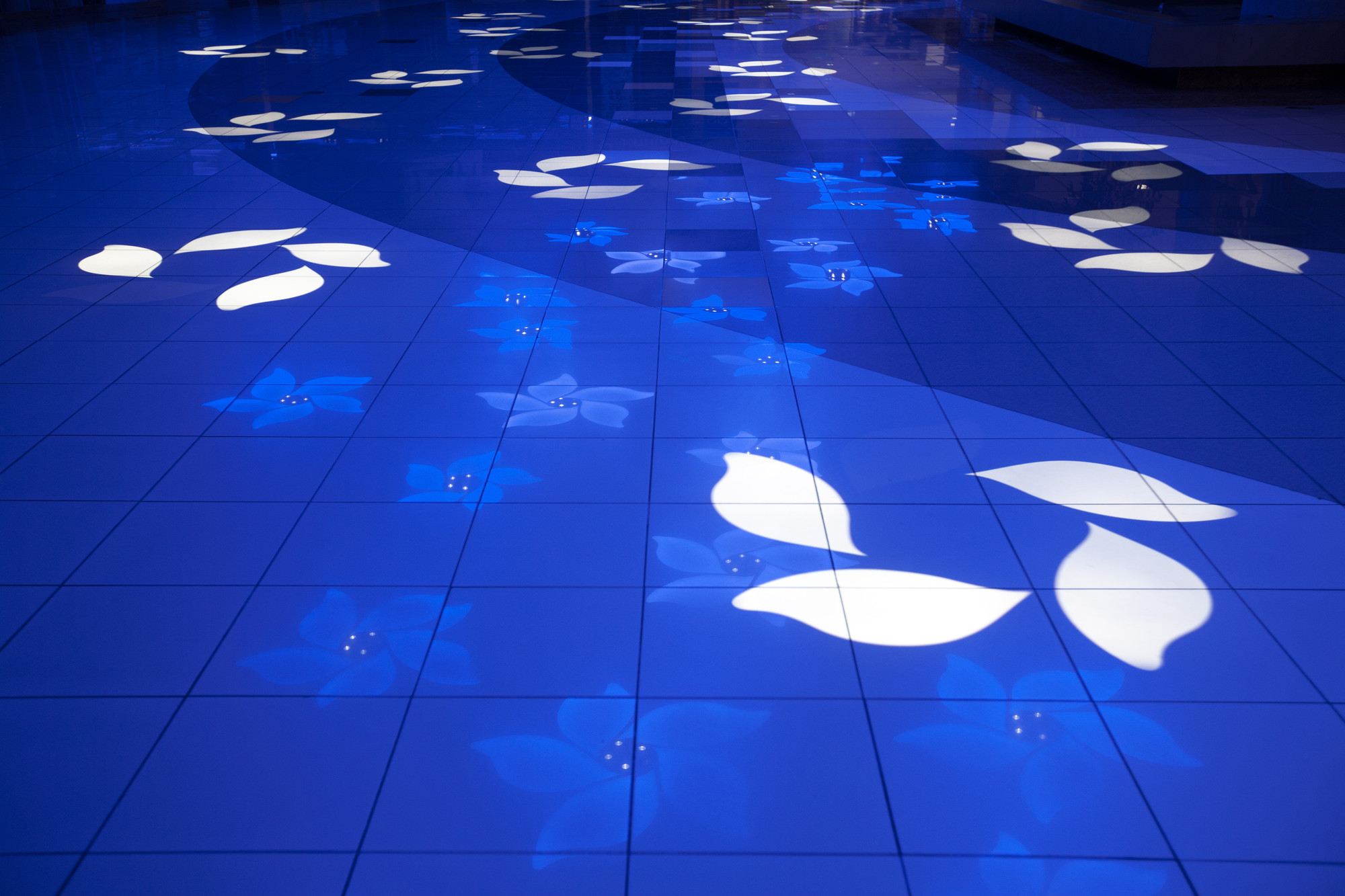 Galería de Light Garden, un paisaje interactivo de luz por Nicholas