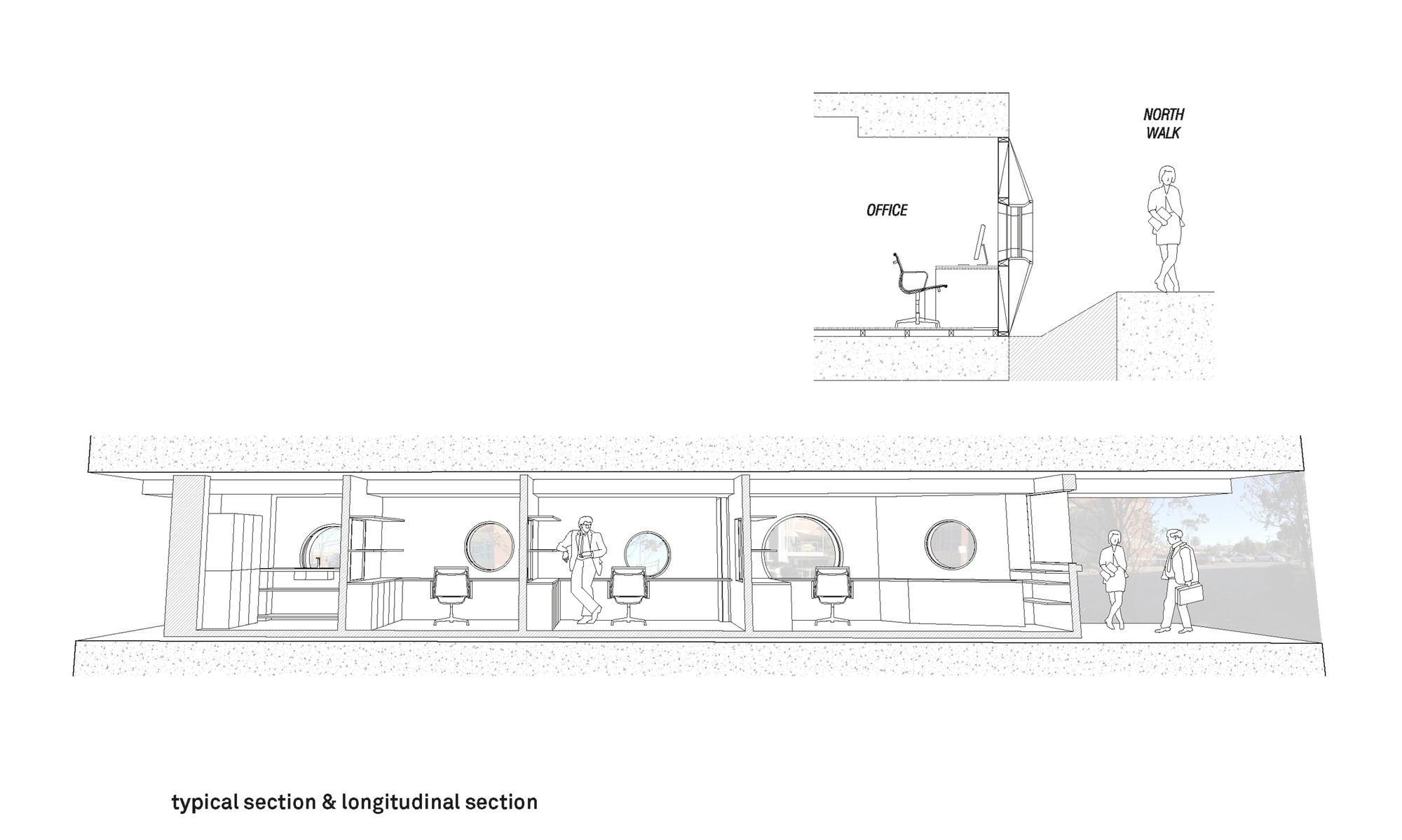 Longitudinal Section