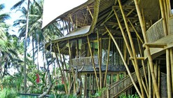 Bamboom: Elora Hardy's TED Talk on Bamboo's Exploding Popularity
