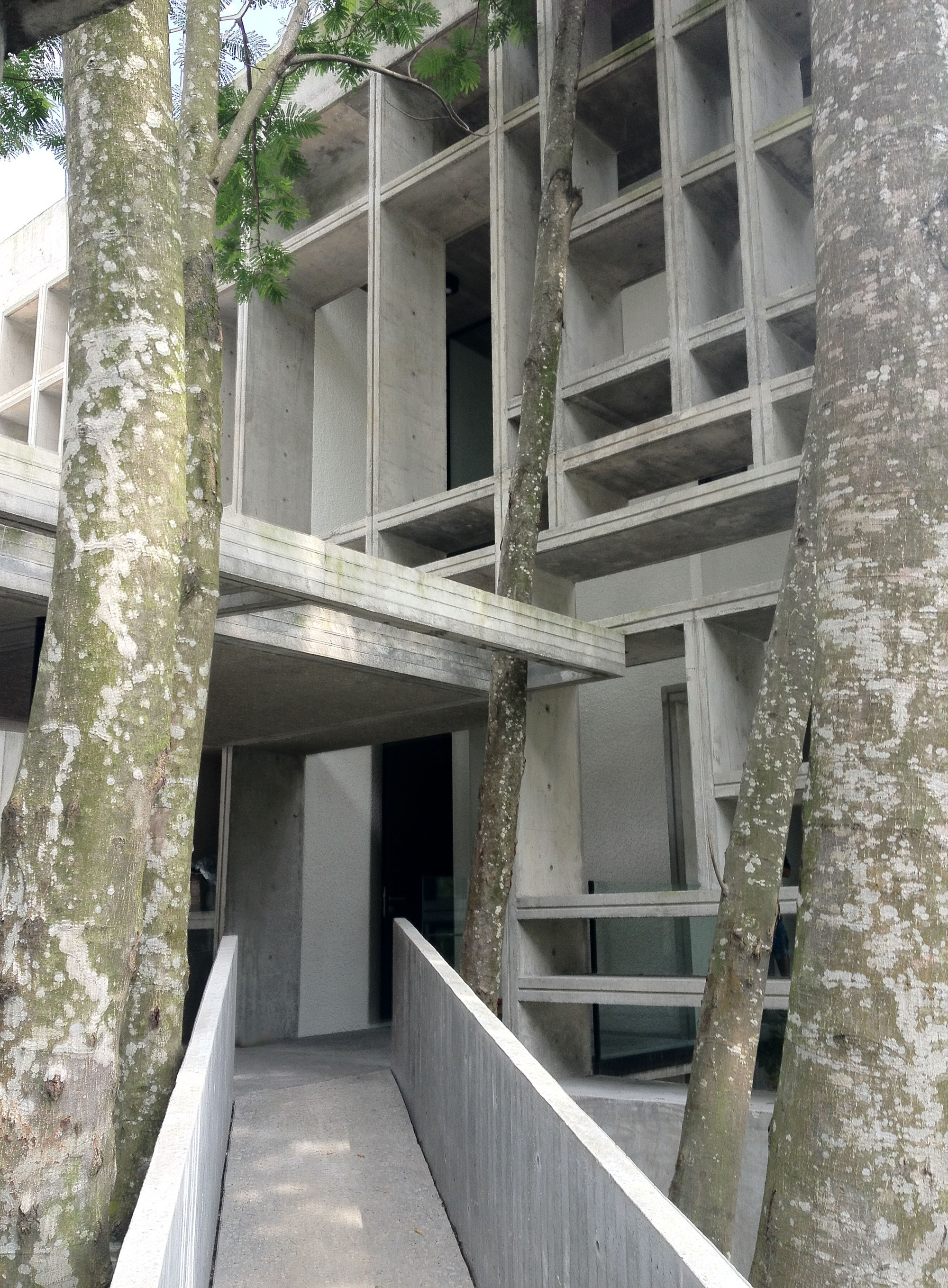 Galería de Casa Caja tropical / WHBC Architects - 4