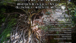 Certificación Internacional en Diseño de Ecoaldeas y Asentamientos Humanos Sustentables / Morelos, México 