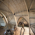 Lodge Sandibe en Okavango / Nicholas Plewman Architects in Association with Michaelis Boyd Associates - Cabañas & Lodges