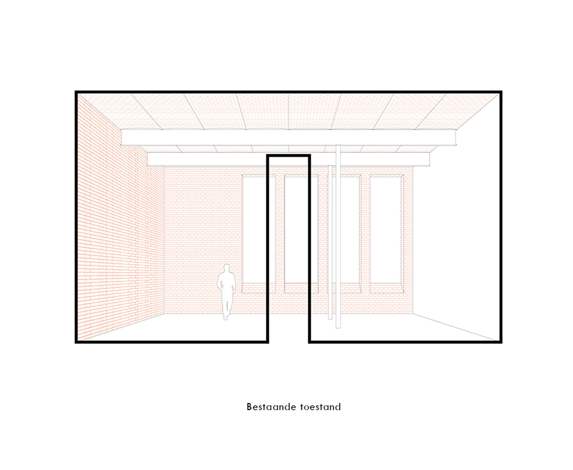 Perspective Section