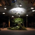 Projeto Lowline de Nova Iorque lança campanha para criar o primeiro parque subterrâneo do mundo - Imagem de Destaque