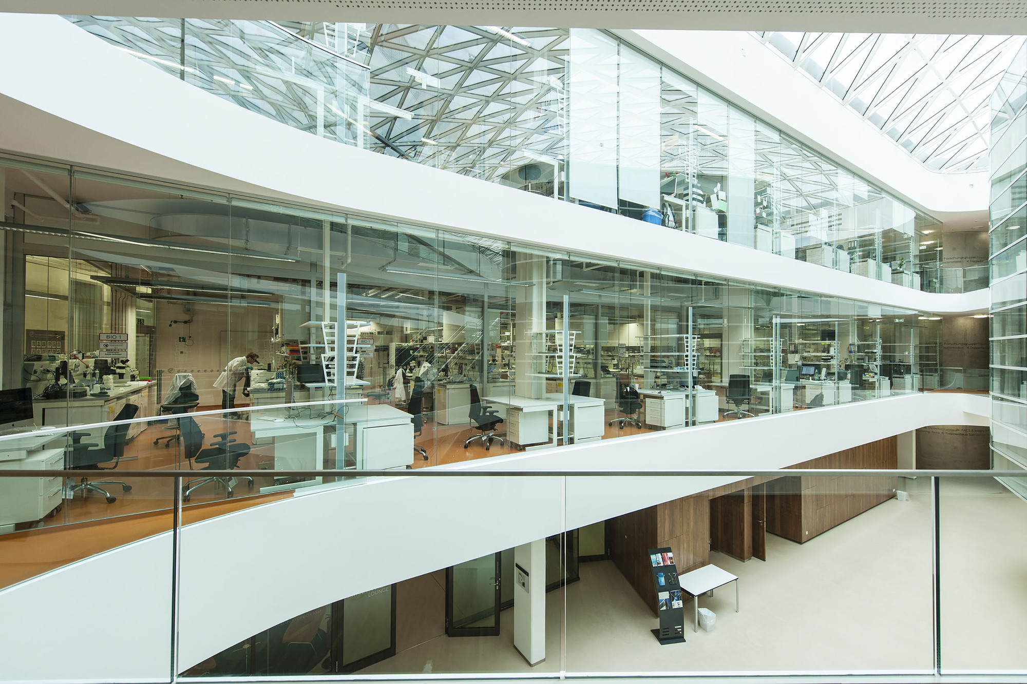 зона атриума. атриум надпись картинки. что такое атриум в здании. атриум биология. атриум биология.