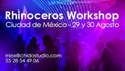 Rhinoceros Workshop por Chido Studio / Ciudad de México