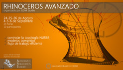 Curso Online Rhinoceros Avanzado / Ciudad de México