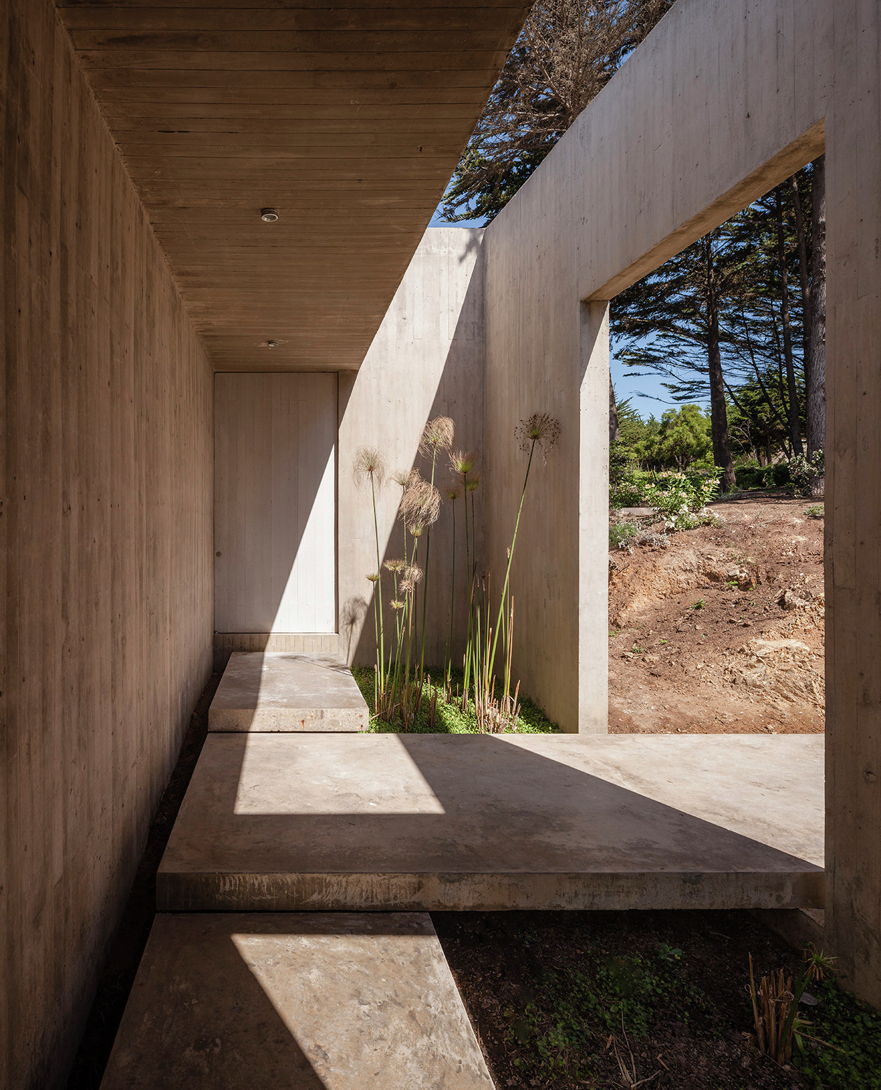 Casas Bahia And Henati: A Perfect Match? - 02aax4y