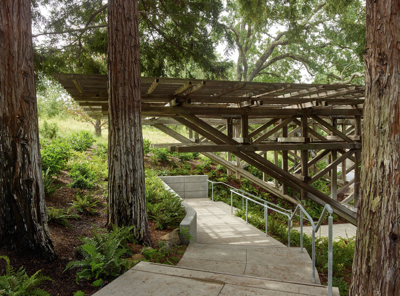 Gallery of Joseph Phelps Vineyards / BCV Architects 6