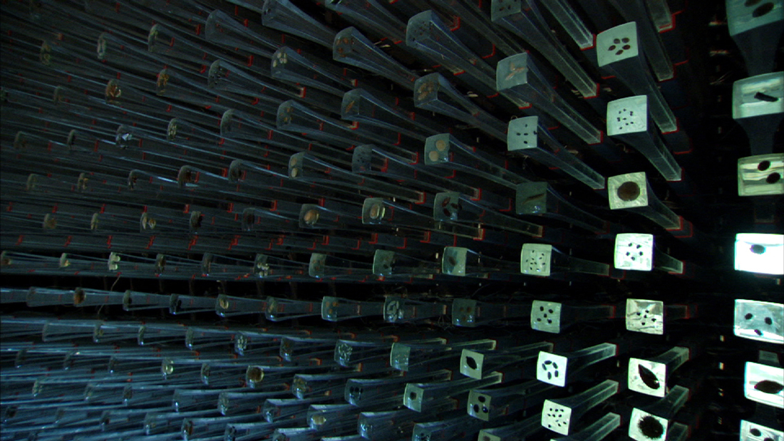 Gallery of UK Pavilion for Shanghai World Expo 2010 / Heatherwick Studio - 22 Gallery of UK Pavilion for Shanghai World Expo 2010 / Heatherwick Studio - 22