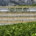 Viñedo Gantenbein /  Gramazio & Kohler + Bearth & Deplazes Architekten - Image 4 of 4