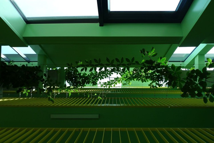 Multi-generacional: Vivir en mühlgrund / ARTEC Architekten - Más Imágenes