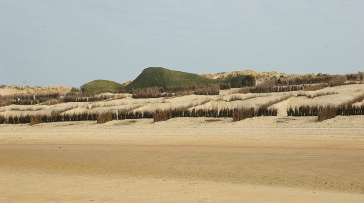 Gusano de Arena / Marco Casagrande - Más Imágenes