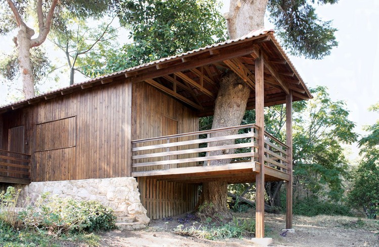 Two-Tree House / Golany Architects - Más Imágenes