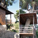 Two-Tree House / Golany Architects - Image 9 of 4